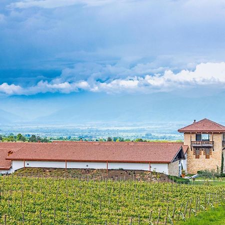 Chateau Mosmieri Hotel & Winery Телаві Екстер'єр фото