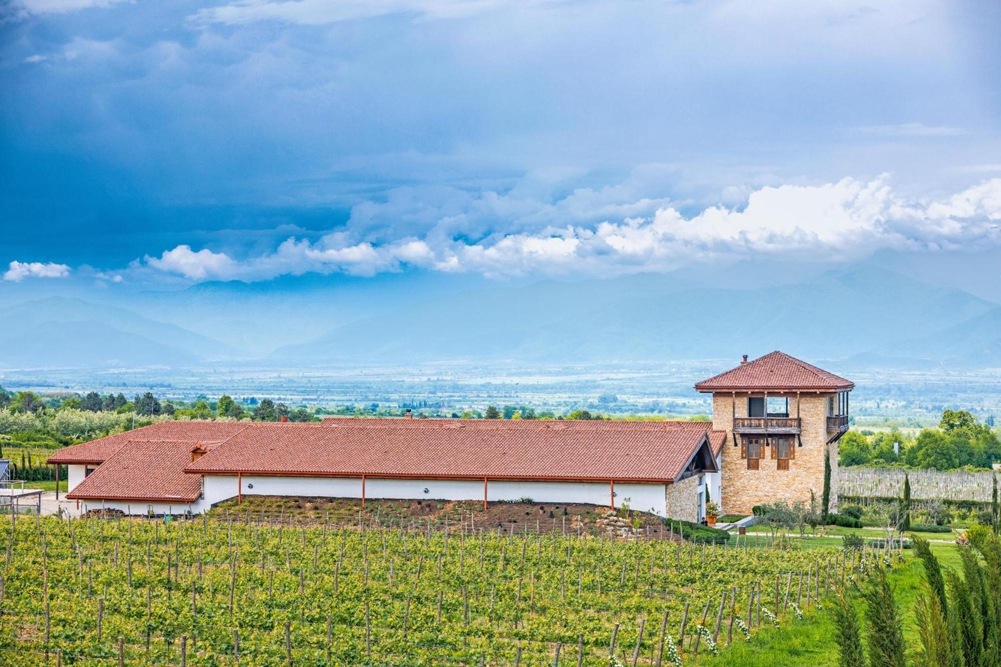 Chateau Mosmieri Hotel & Winery Телаві Екстер'єр фото