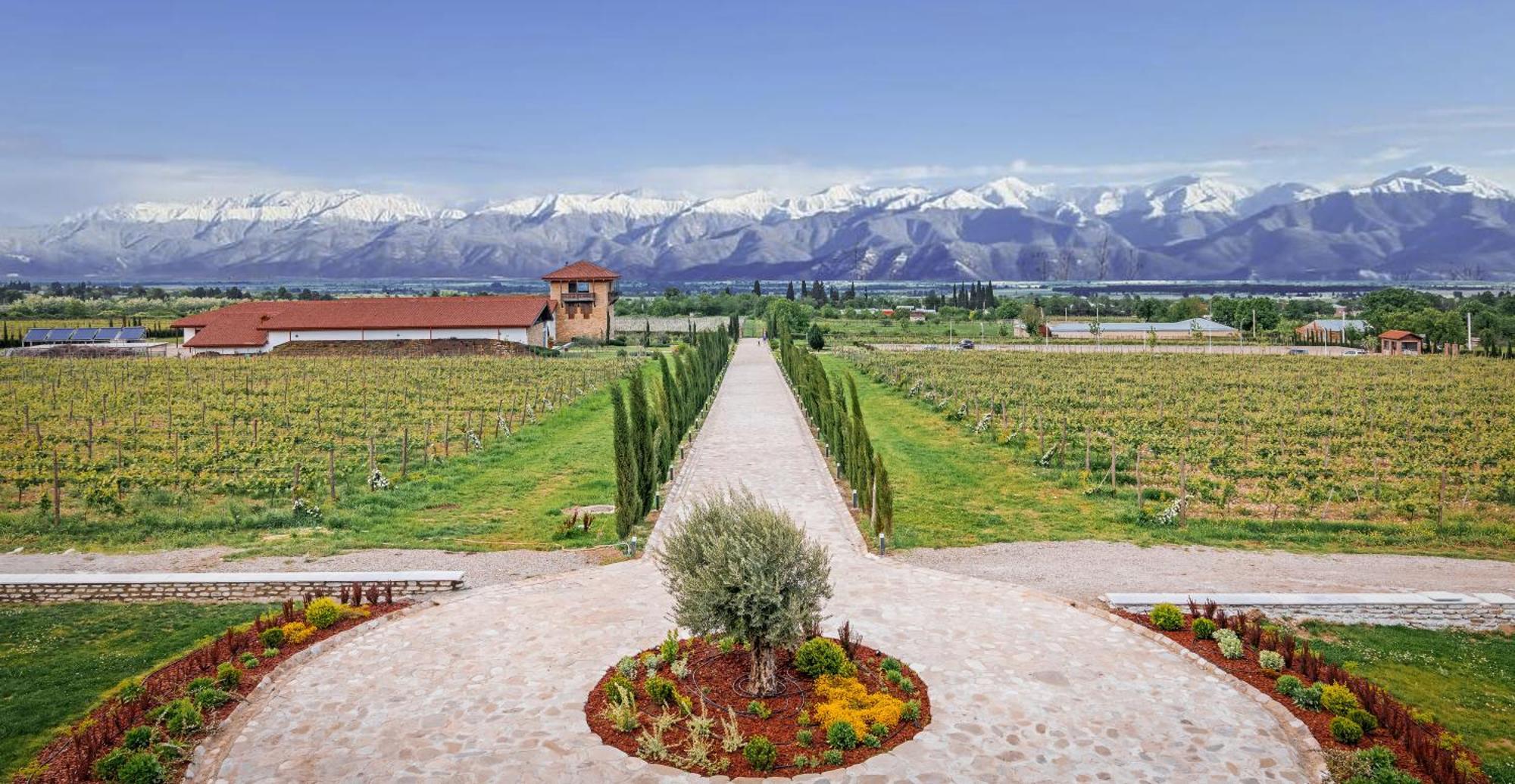 Chateau Mosmieri Hotel & Winery Телаві Екстер'єр фото