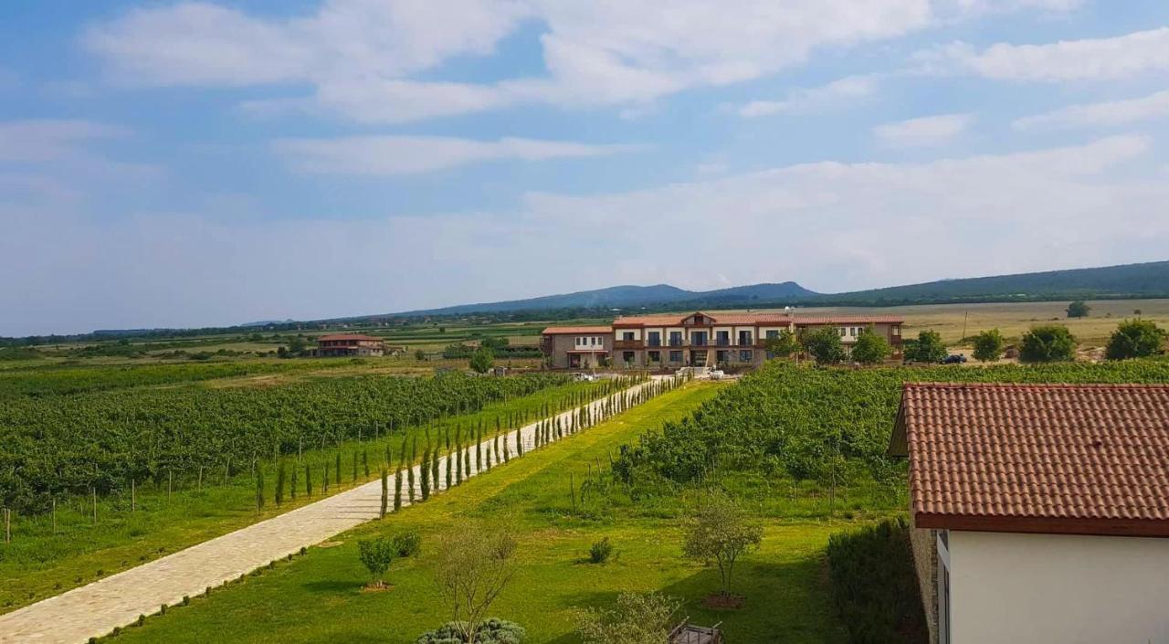 Chateau Mosmieri Hotel & Winery Телаві Екстер'єр фото